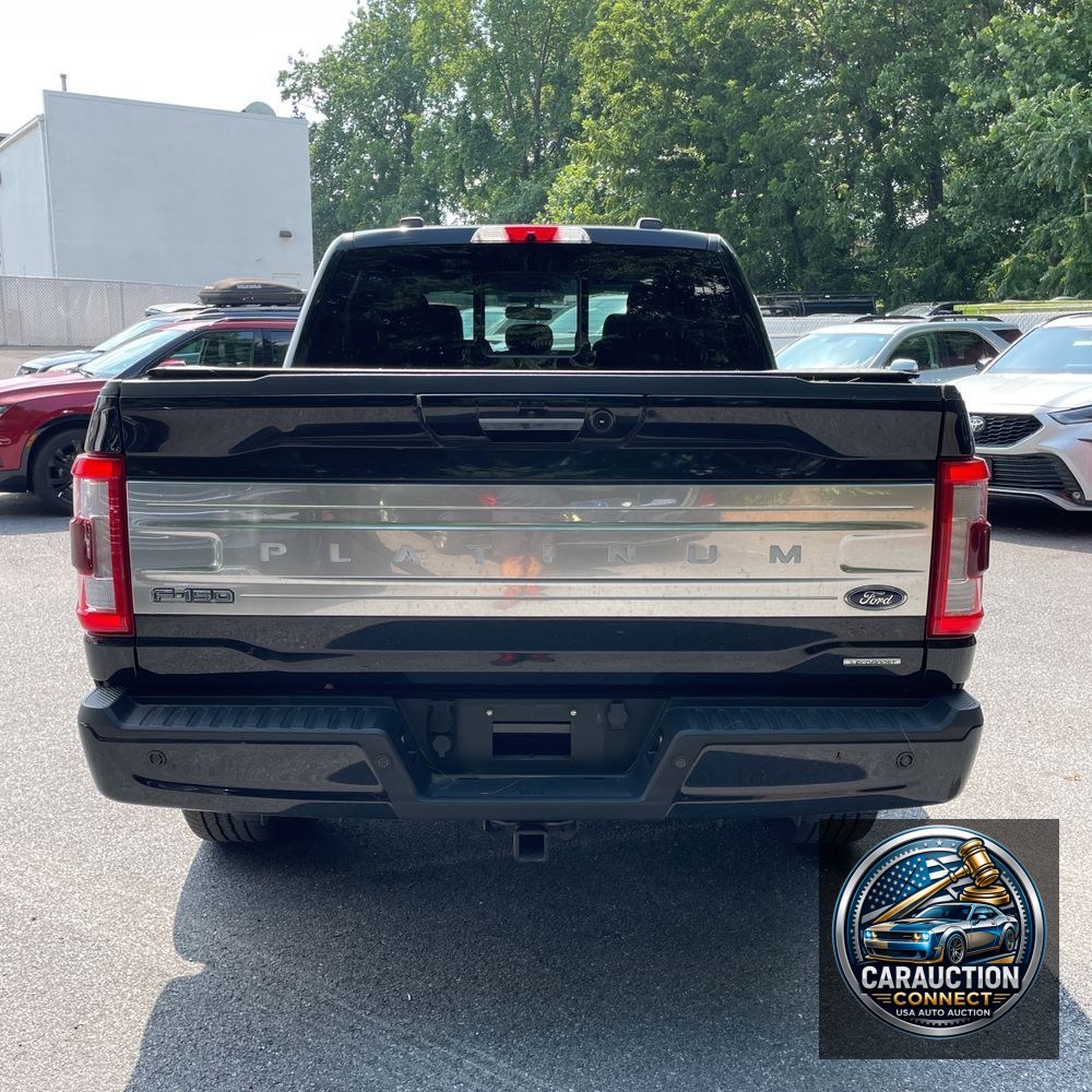 2021 Ford F-150 Platinum