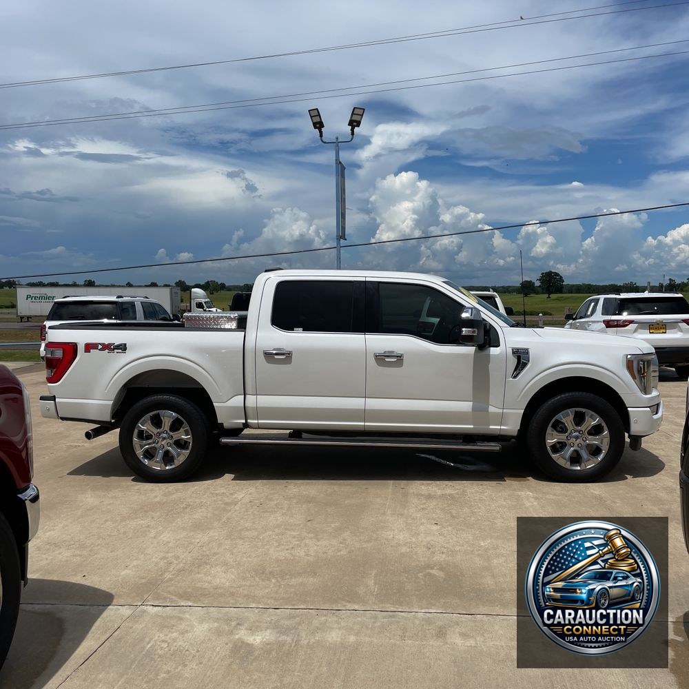 2022 Ford F-150 Platinum