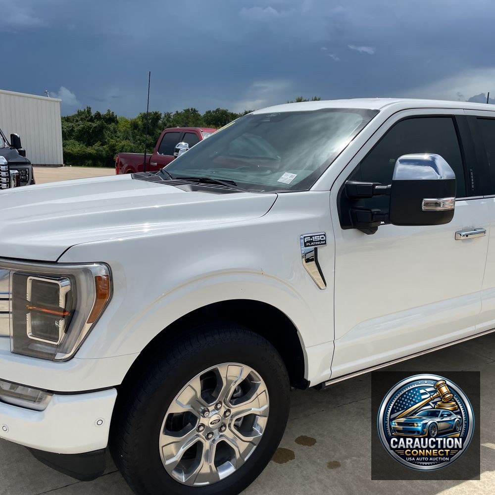 2022 Ford F-150 Platinum