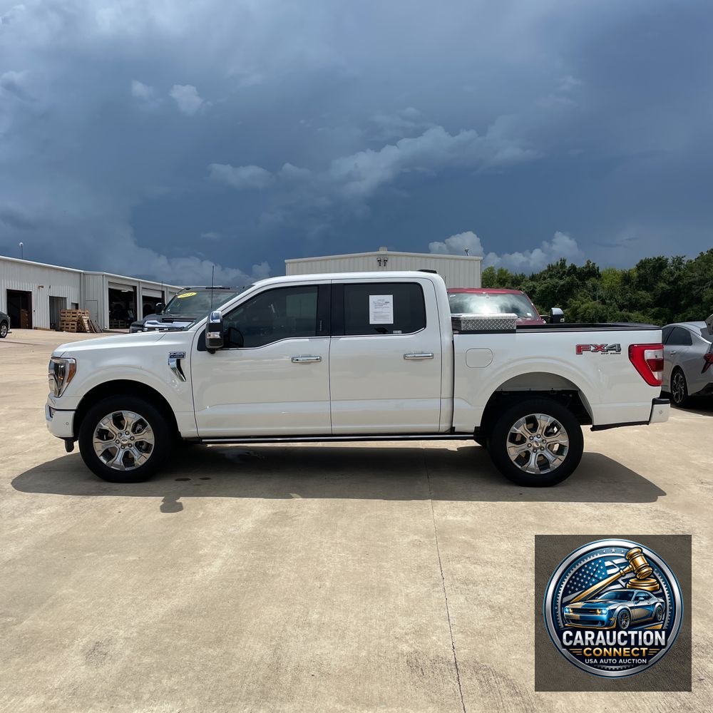 2022 Ford F-150 Platinum