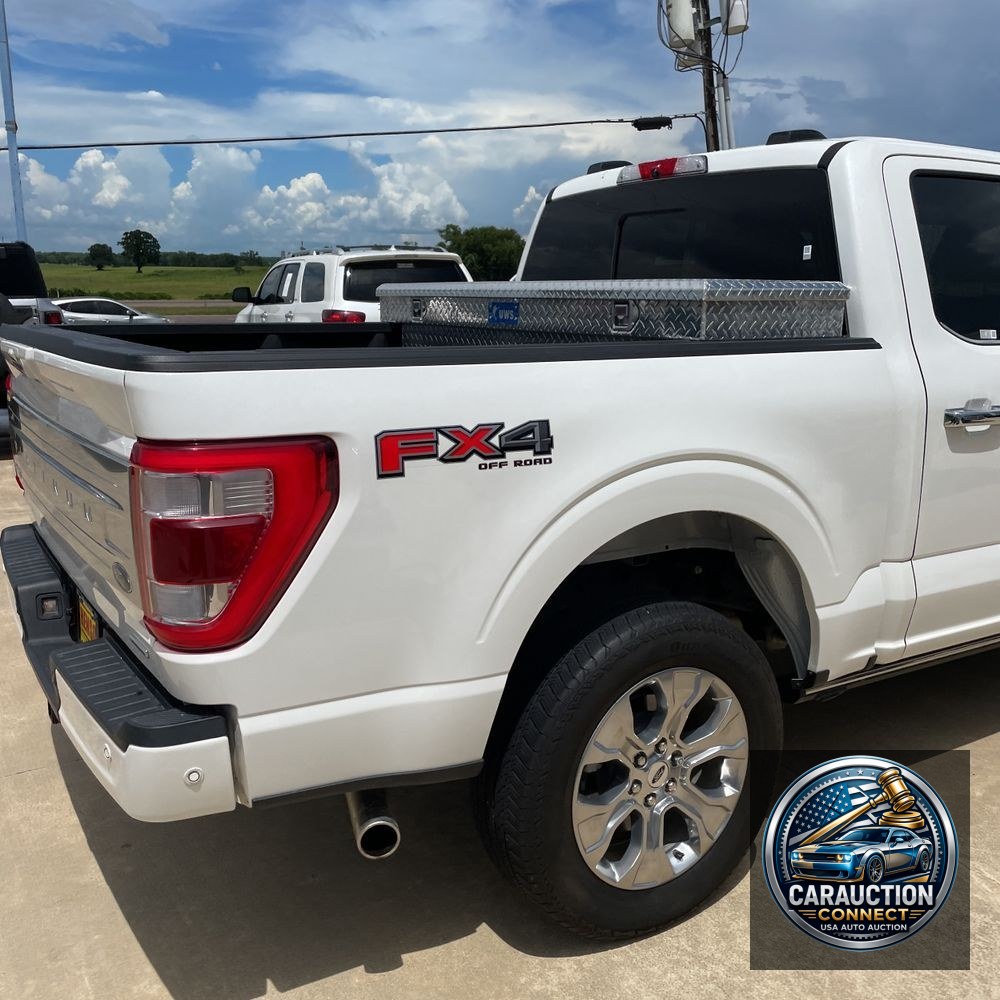2022 Ford F-150 Platinum