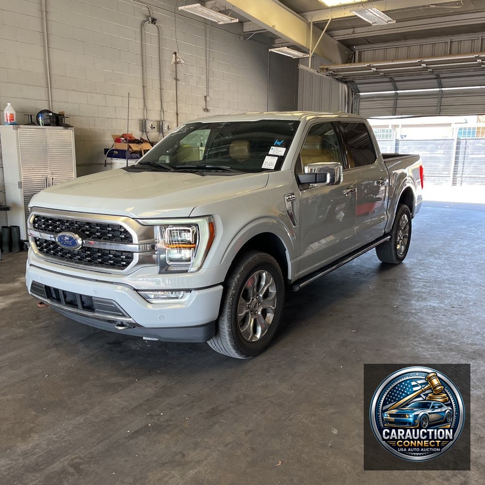 2023 Ford F-150 Platinum