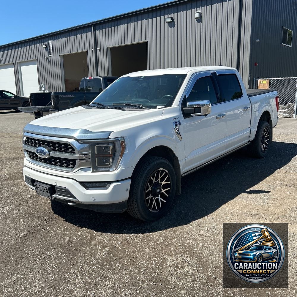 2023 Ford F150 Platinum