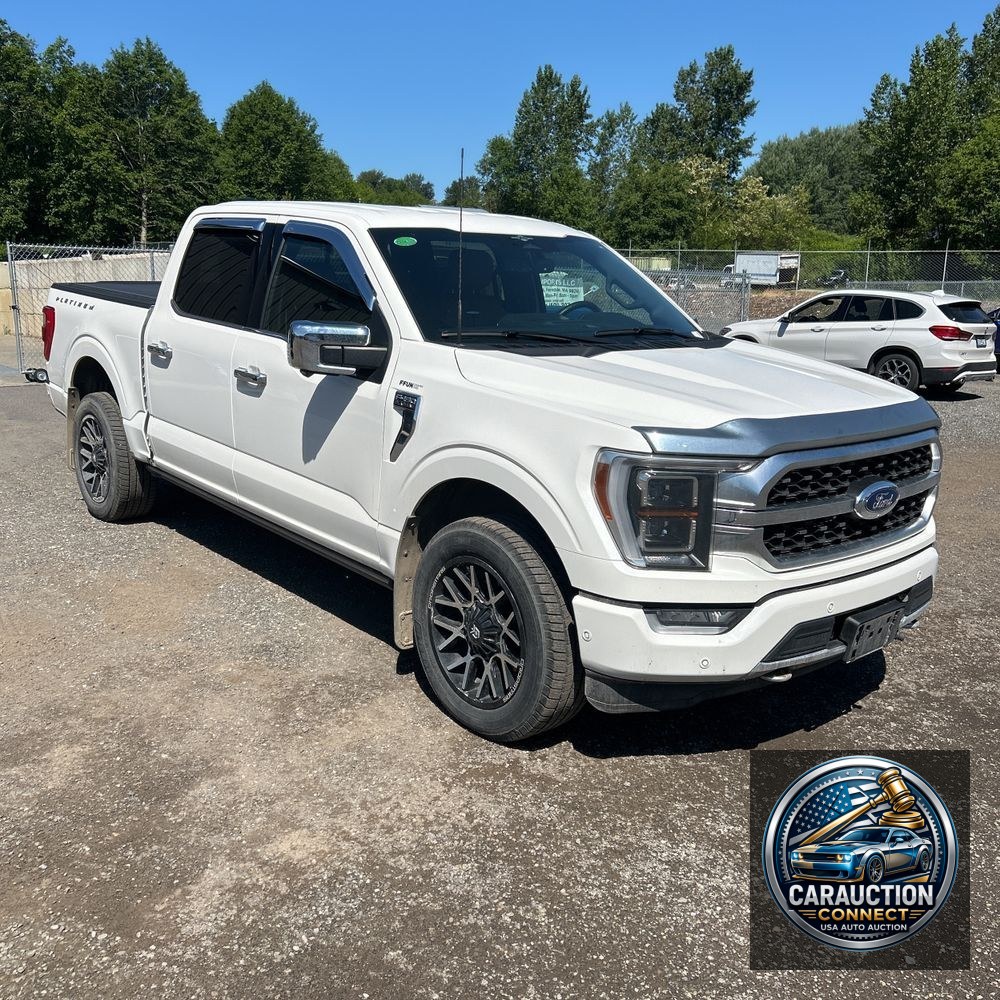 2023 Ford F150 Platinum