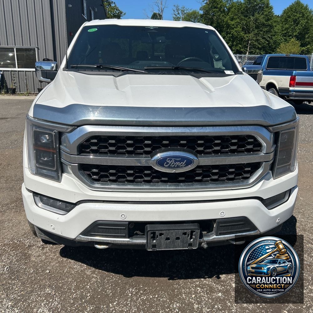 2023 Ford F150 Platinum
