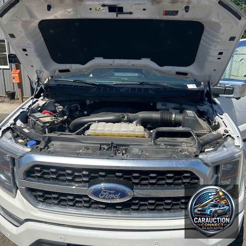 2023 Ford F150 Platinum