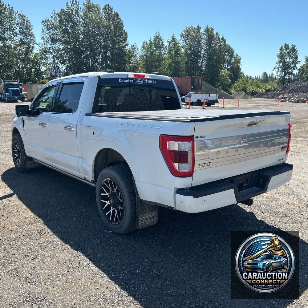 2023 Ford F150 Platinum