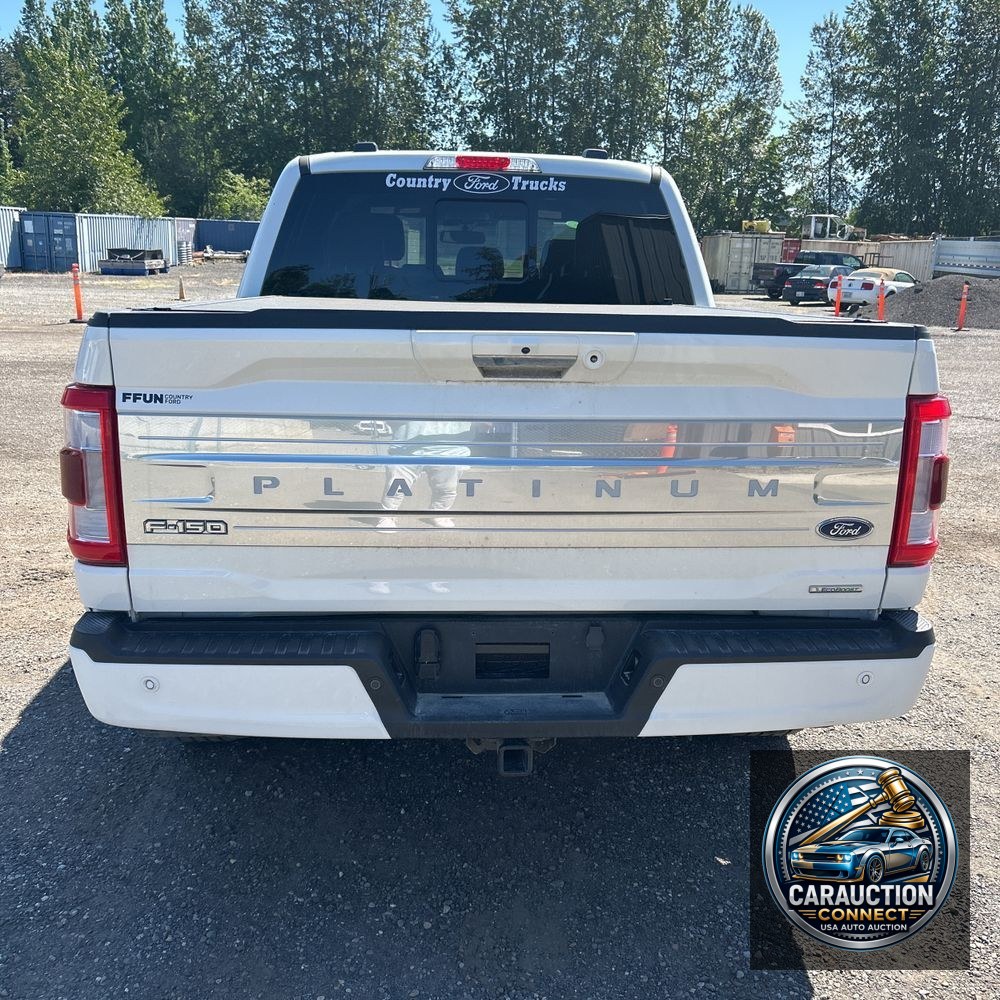 2023 Ford F150 Platinum