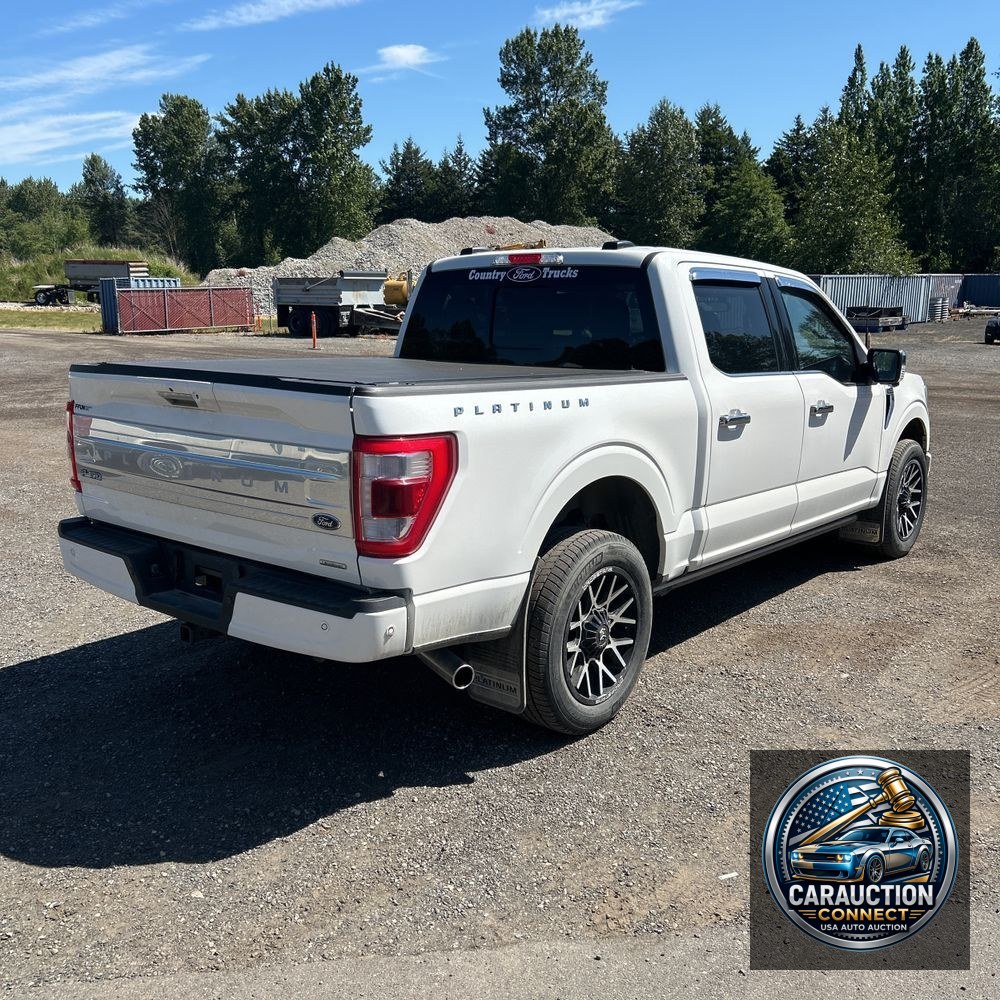 2023 Ford F150 Platinum
