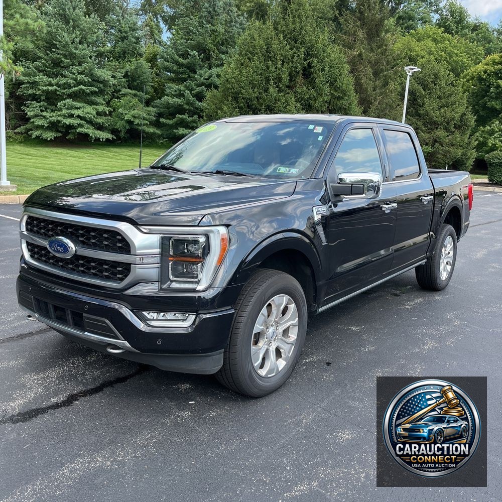 2023 Ford F-150 Platinum