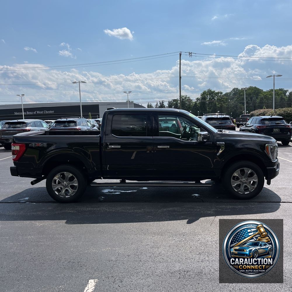 2023 Ford F-150 Platinum