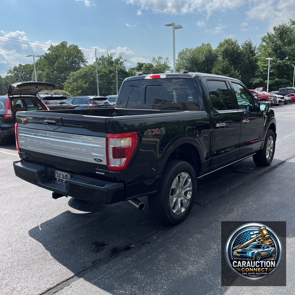 2023 Ford F-150 Platinum