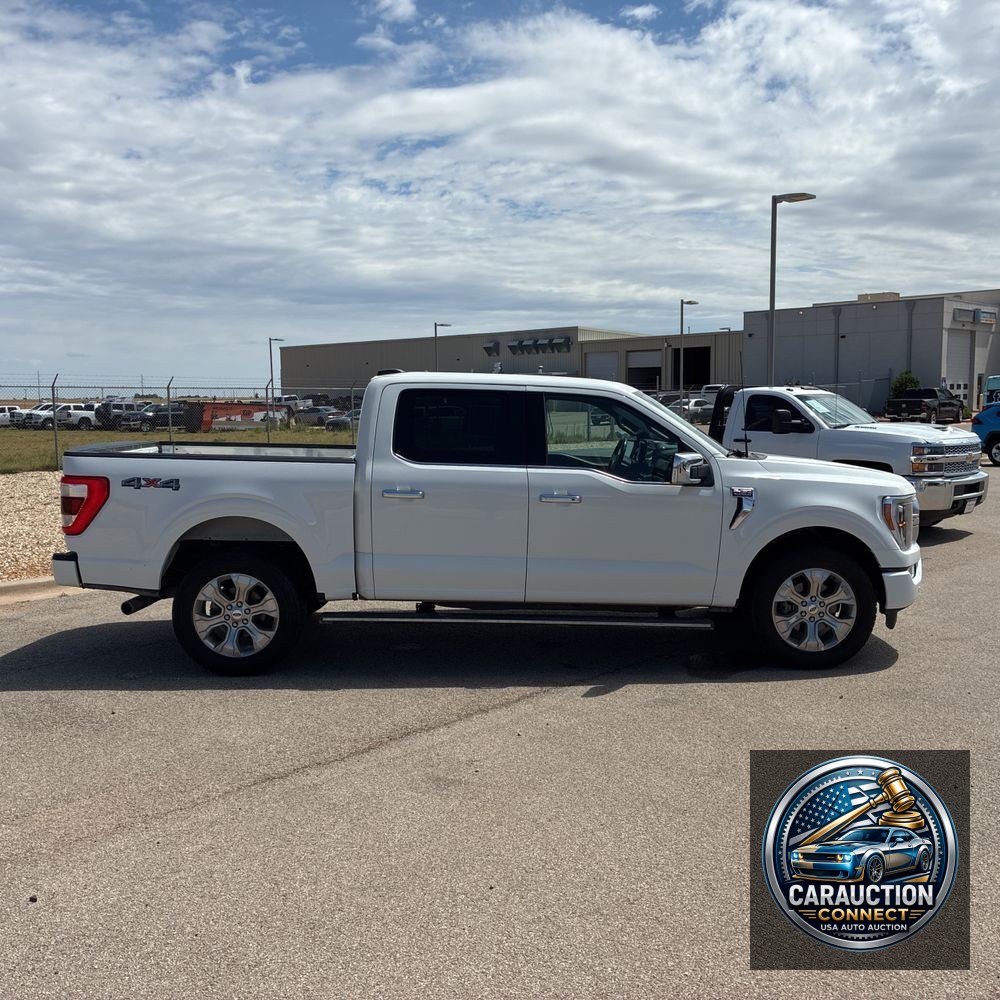2023 Ford F-150 Platinum