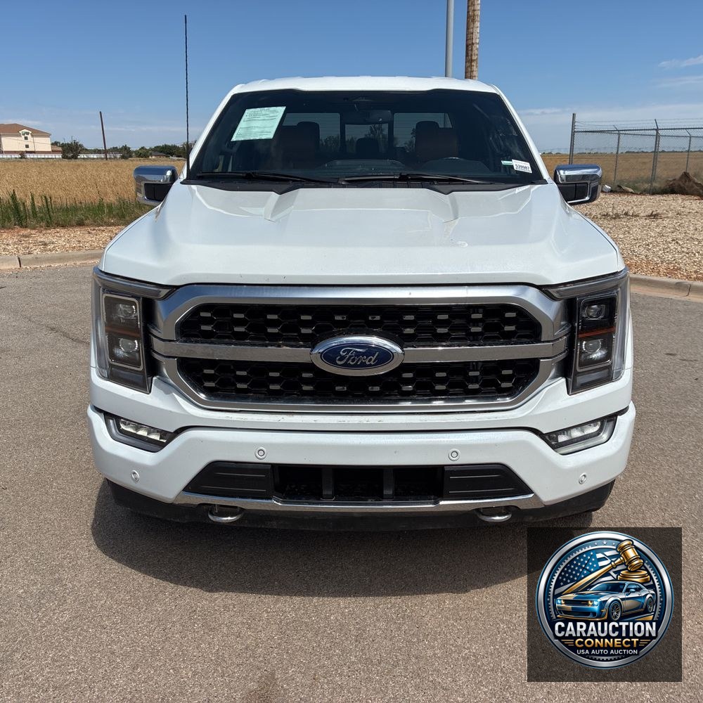 2023 Ford F-150 Platinum