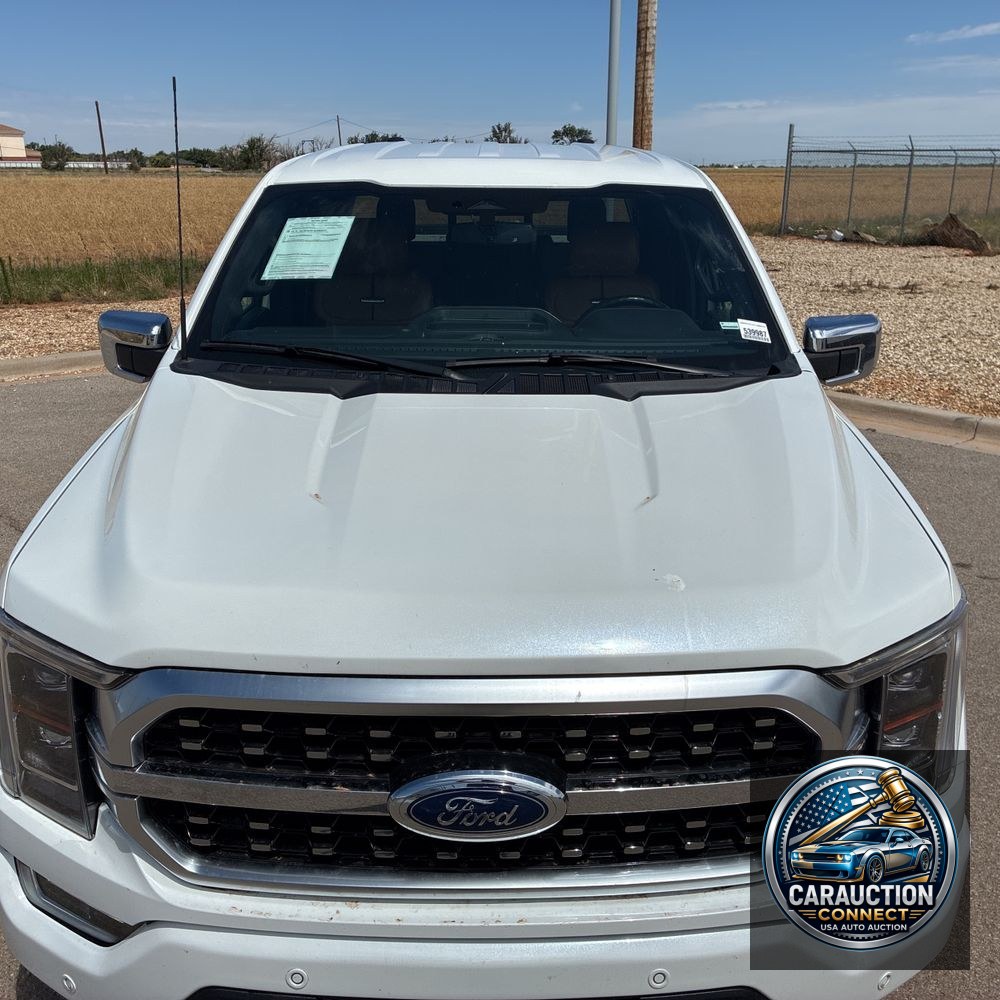 2023 Ford F-150 Platinum