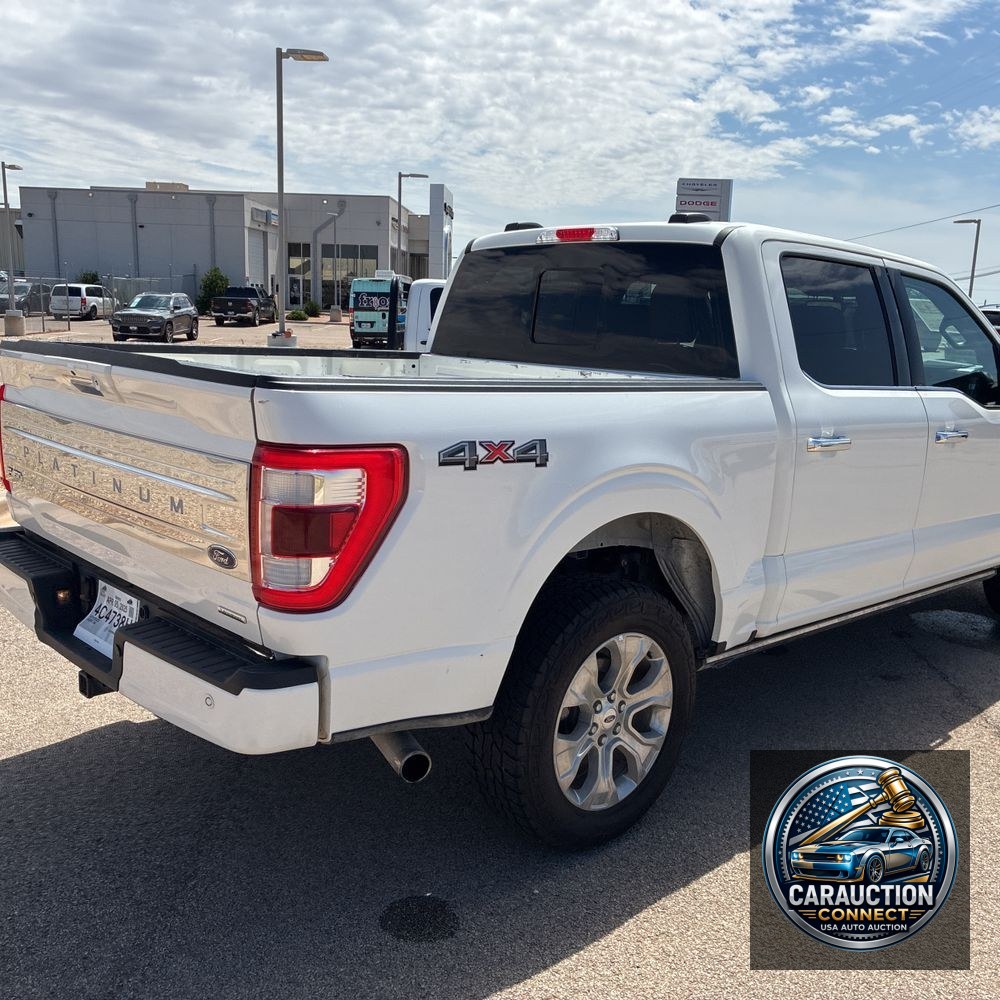 2023 Ford F-150 Platinum