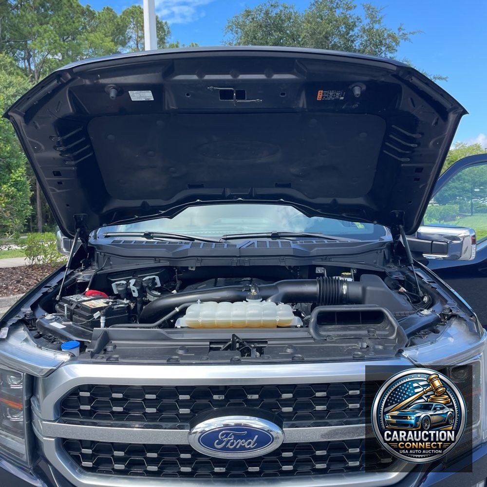 2023 Ford F-150 Platinum