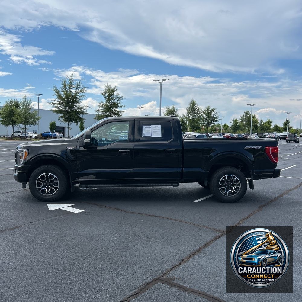 2023 Ford F150 XLT