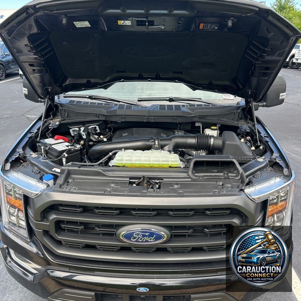 2023 Ford F150 XLT