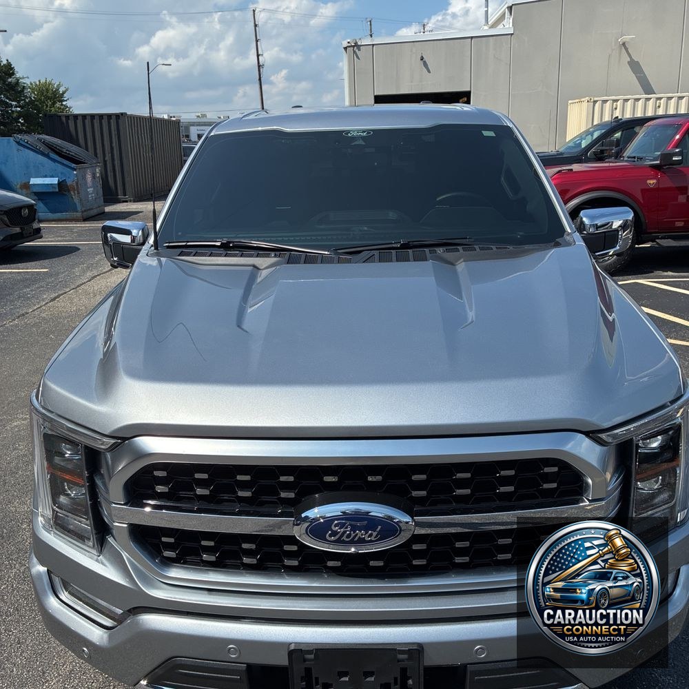 2022 Ford F-150 Platinum