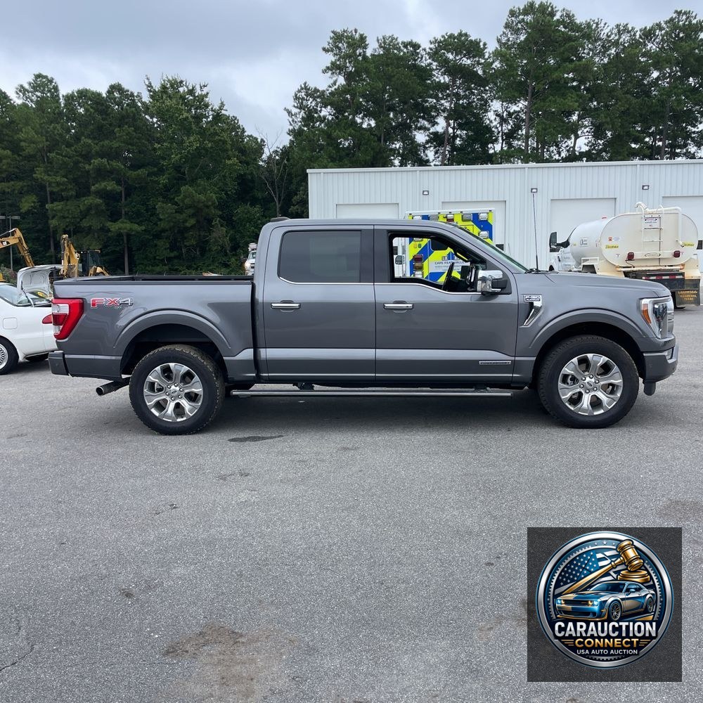2022 Ford F-150 Platinum