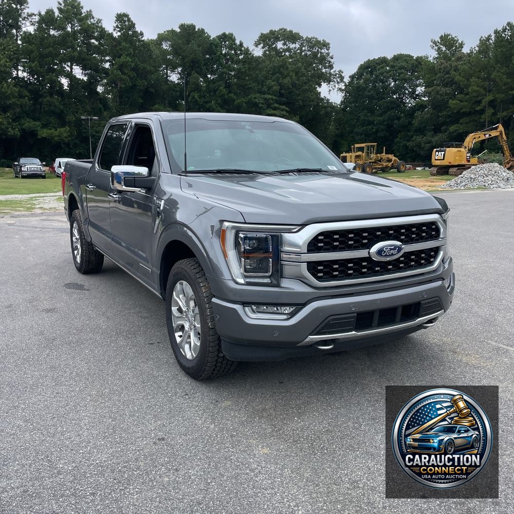 2022 Ford F-150 Platinum