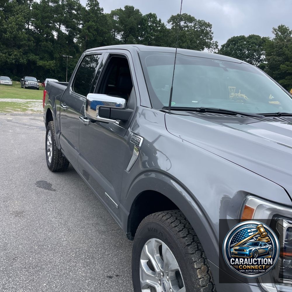 2022 Ford F-150 Platinum