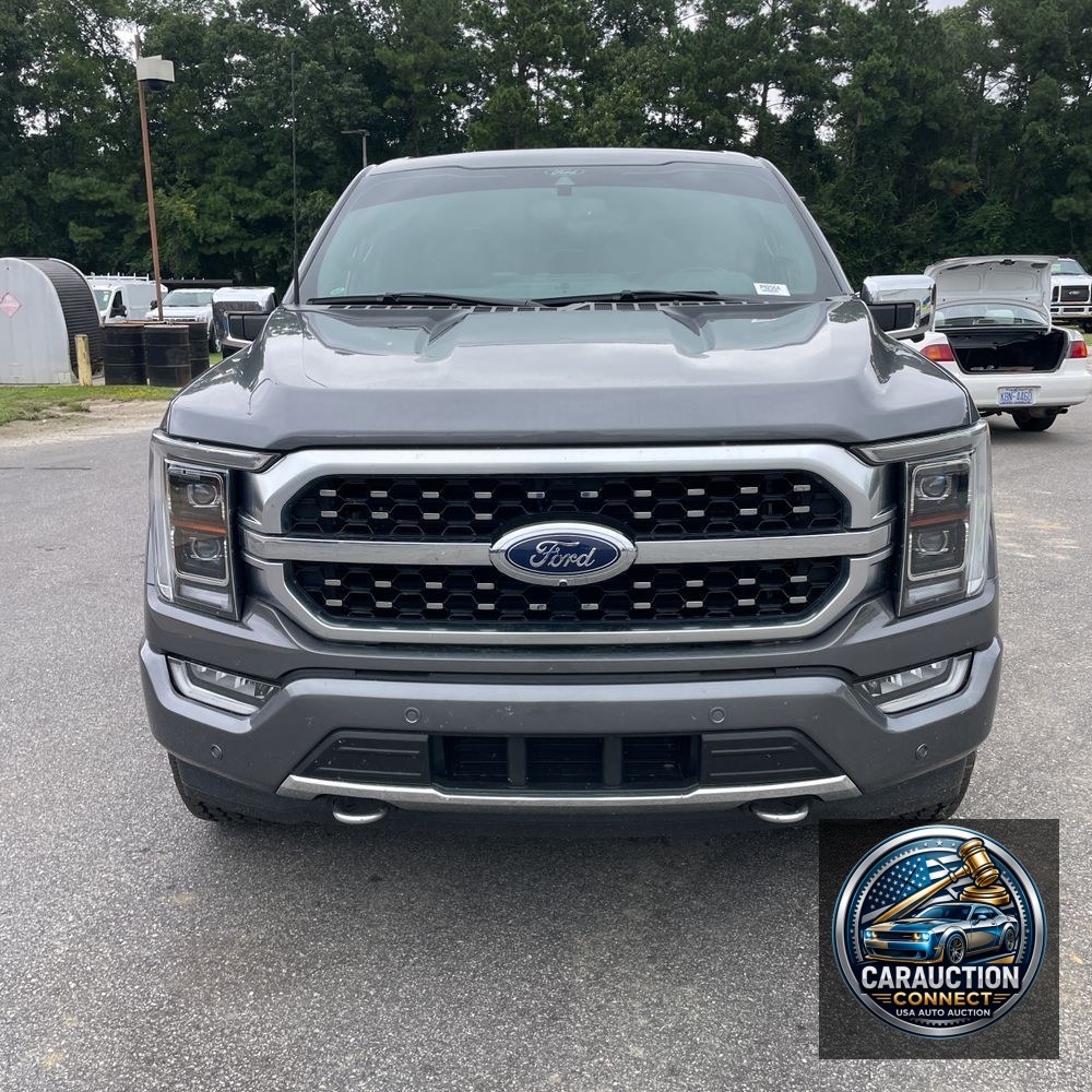 2022 Ford F-150 Platinum