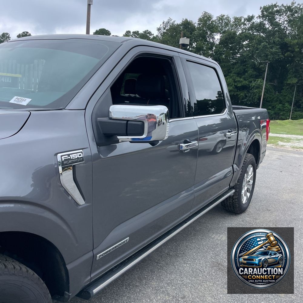 2022 Ford F-150 Platinum