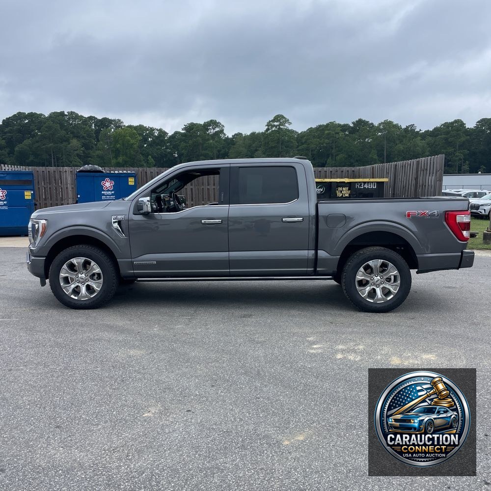 2022 Ford F-150 Platinum