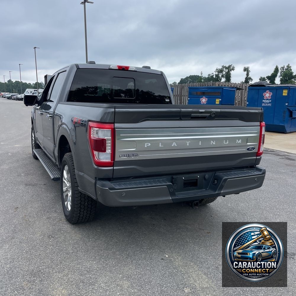 2022 Ford F-150 Platinum