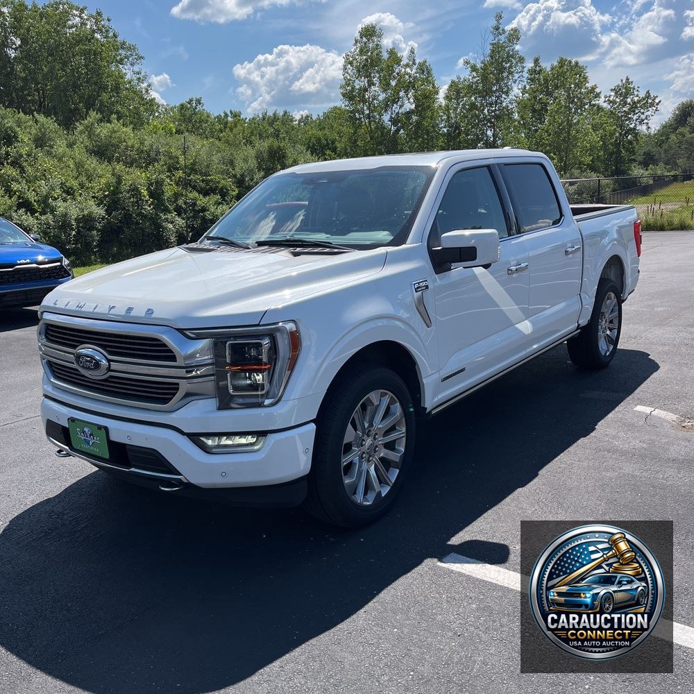 2023 Ford F150 Limited