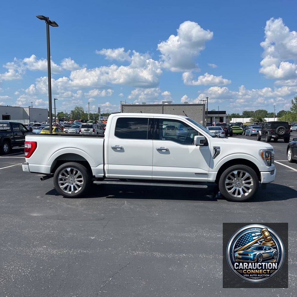 2023 Ford F150 Limited