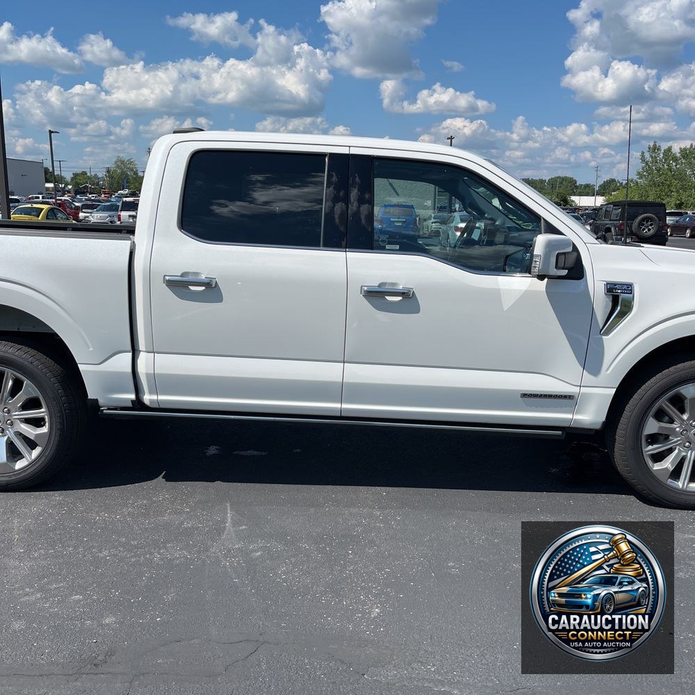 2023 Ford F150 Limited