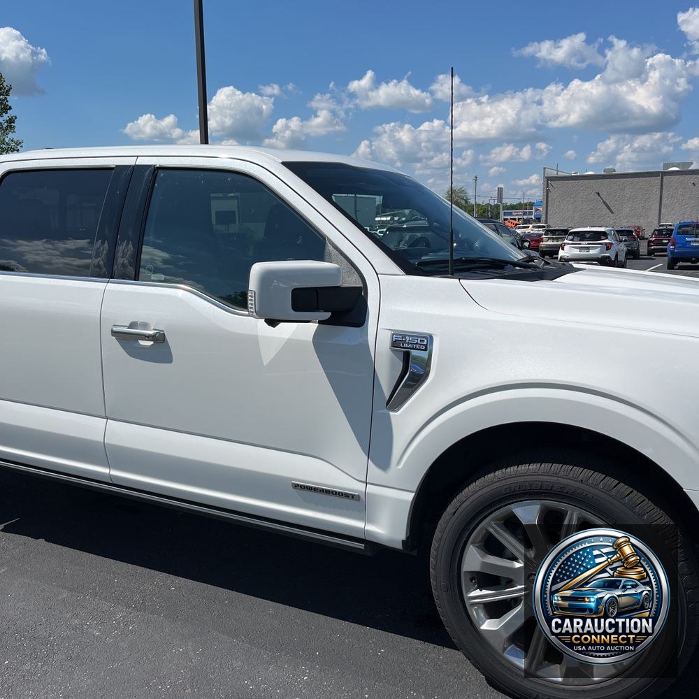 2023 Ford F150 Limited