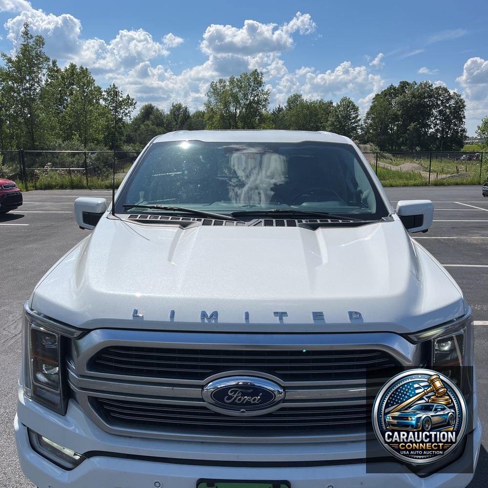 2023 Ford F150 Limited