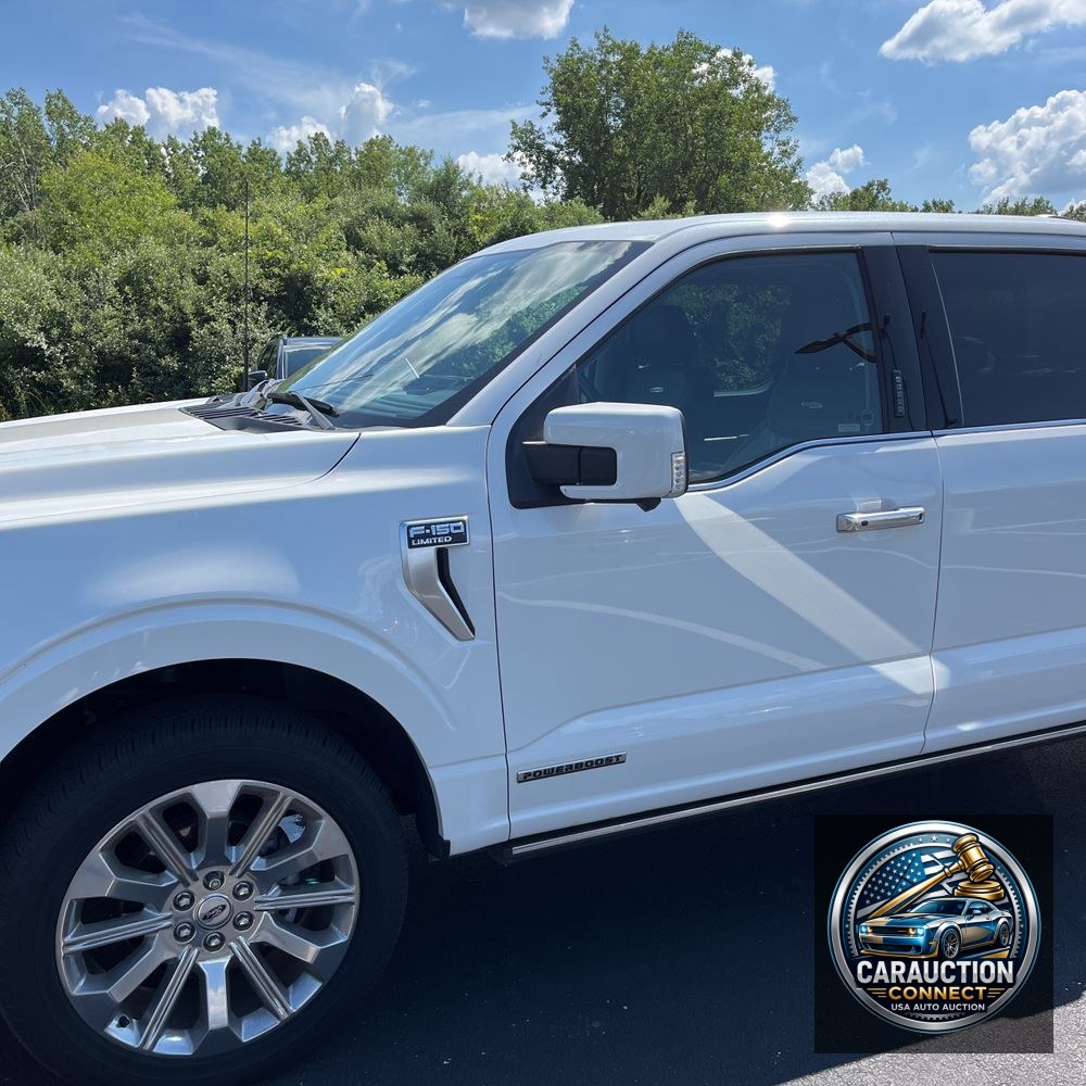 2023 Ford F150 Limited