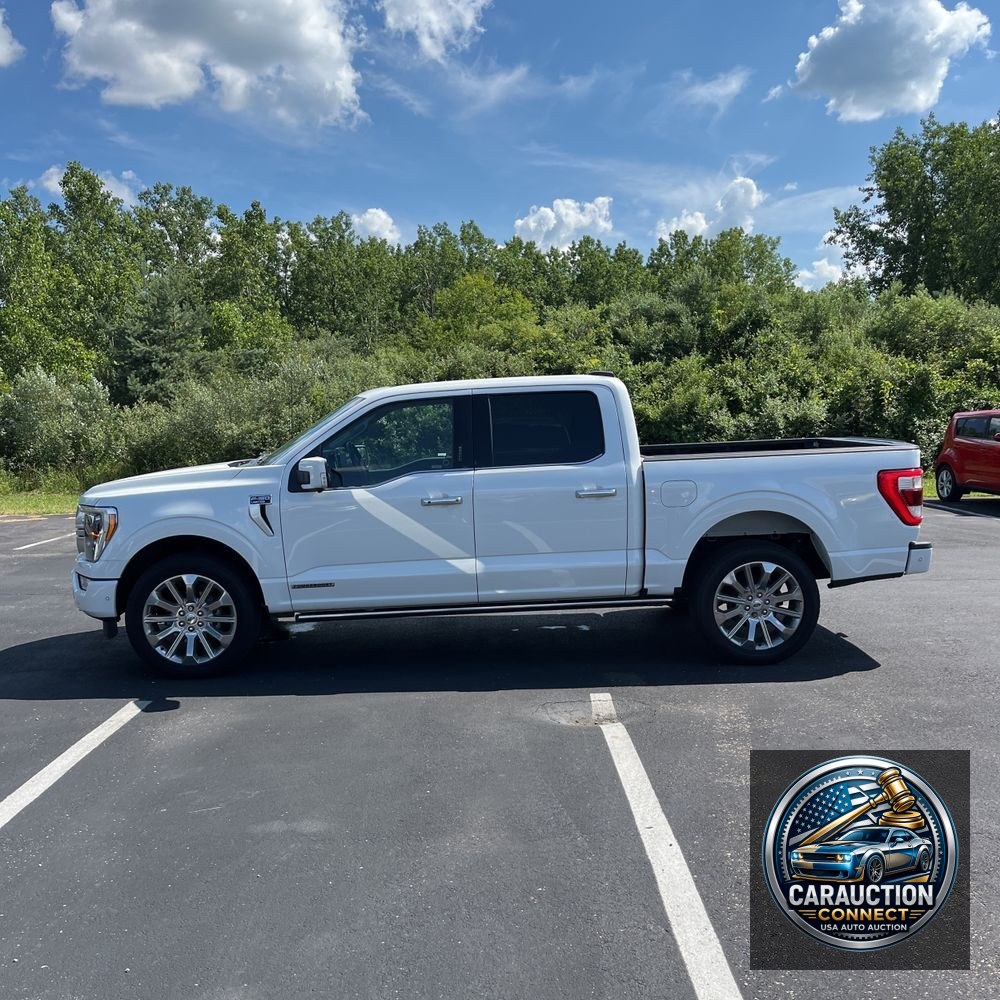 2023 Ford F150 Limited
