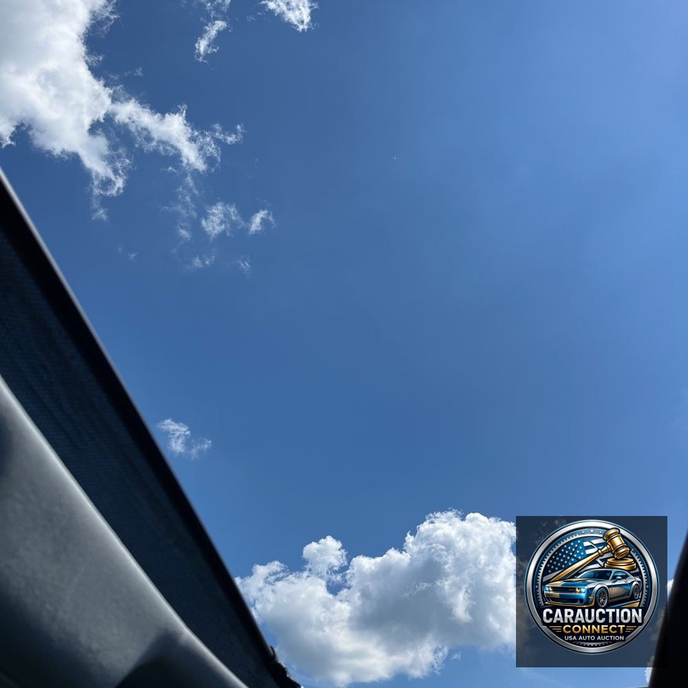 2023 Ford F150 Limited