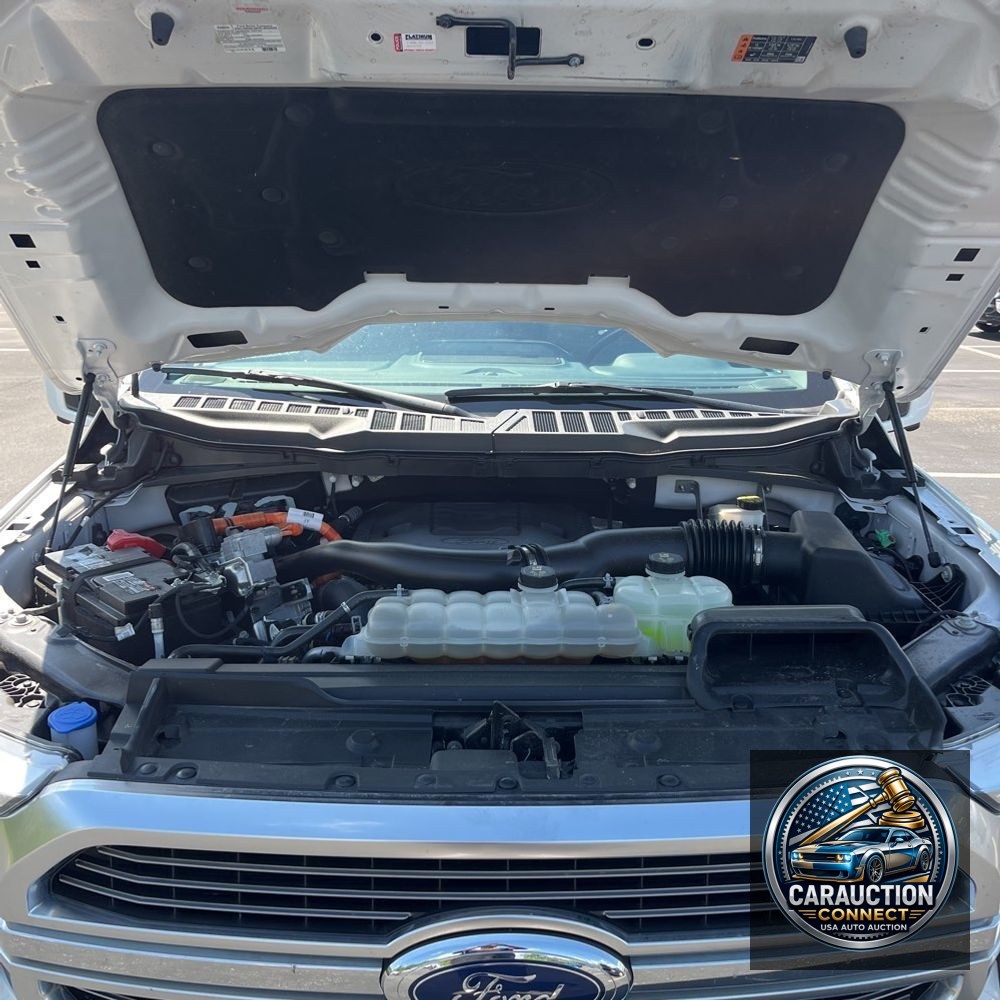 2023 Ford F150 Limited