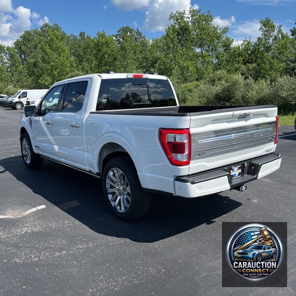 2023 Ford F150 Limited
