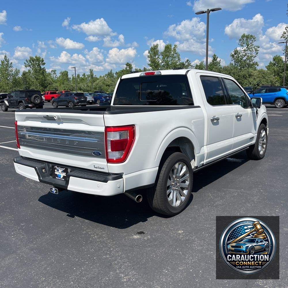 2023 Ford F150 Limited