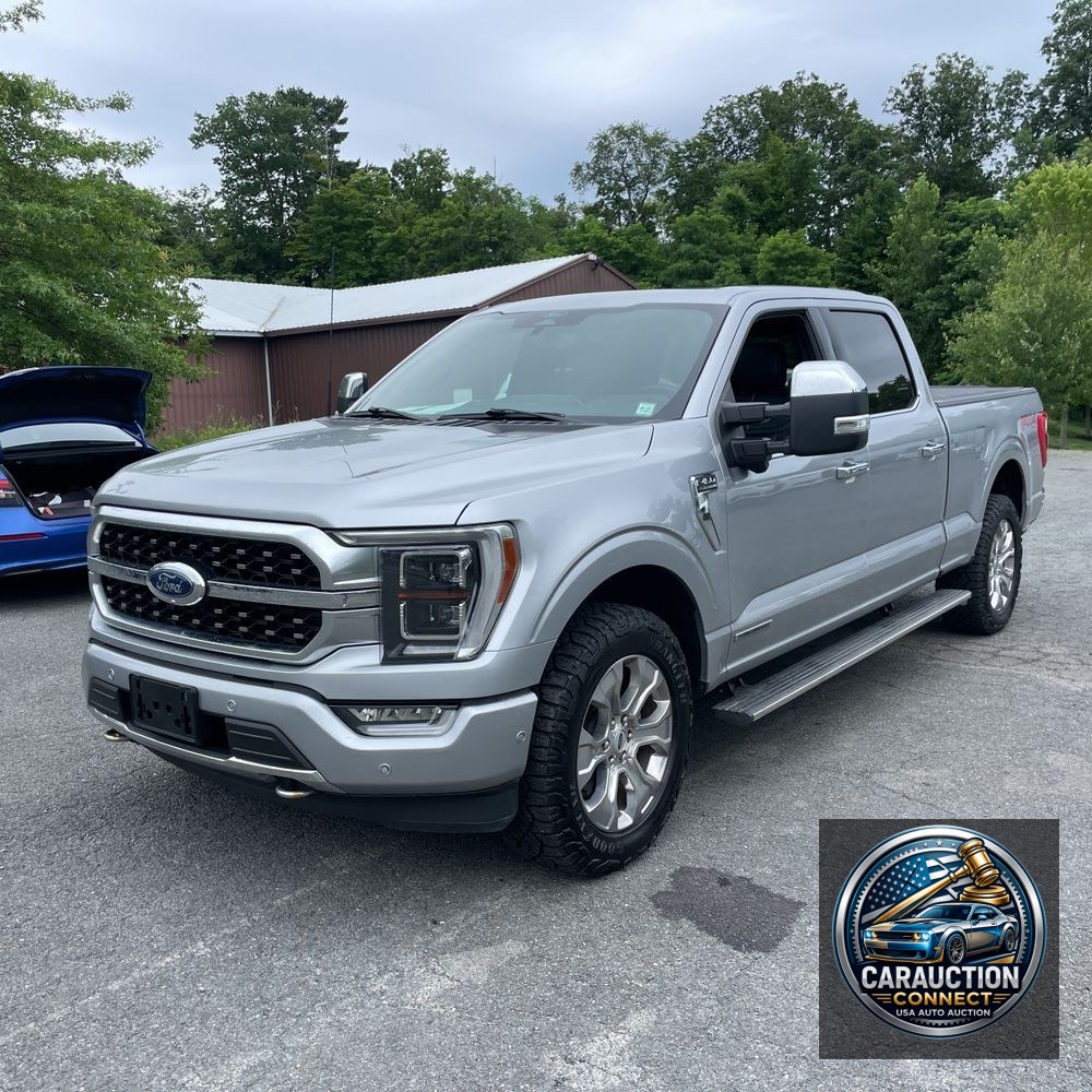 2022 Ford F-150 Platinum