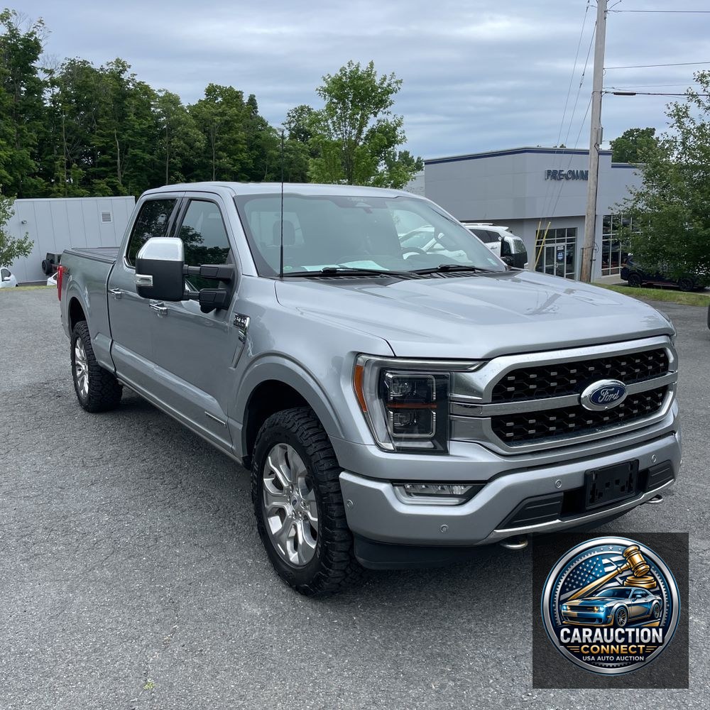 2022 Ford F-150 Platinum