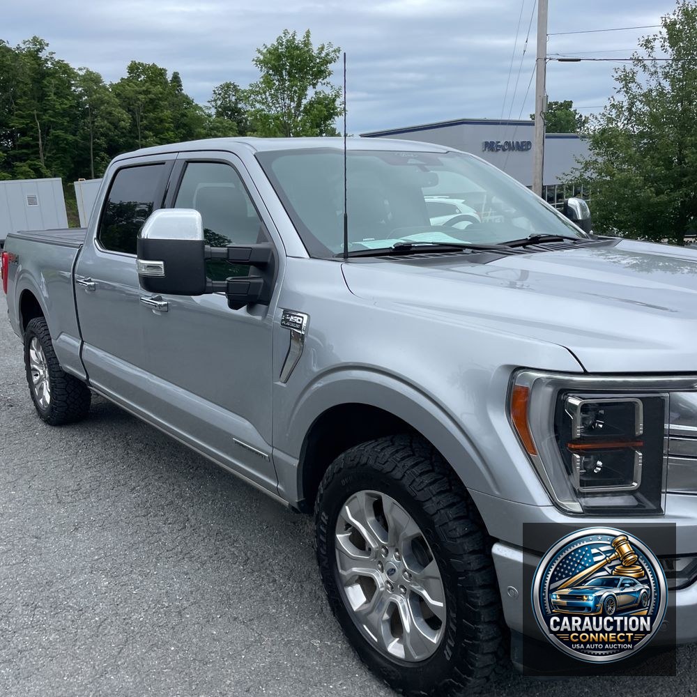 2022 Ford F-150 Platinum