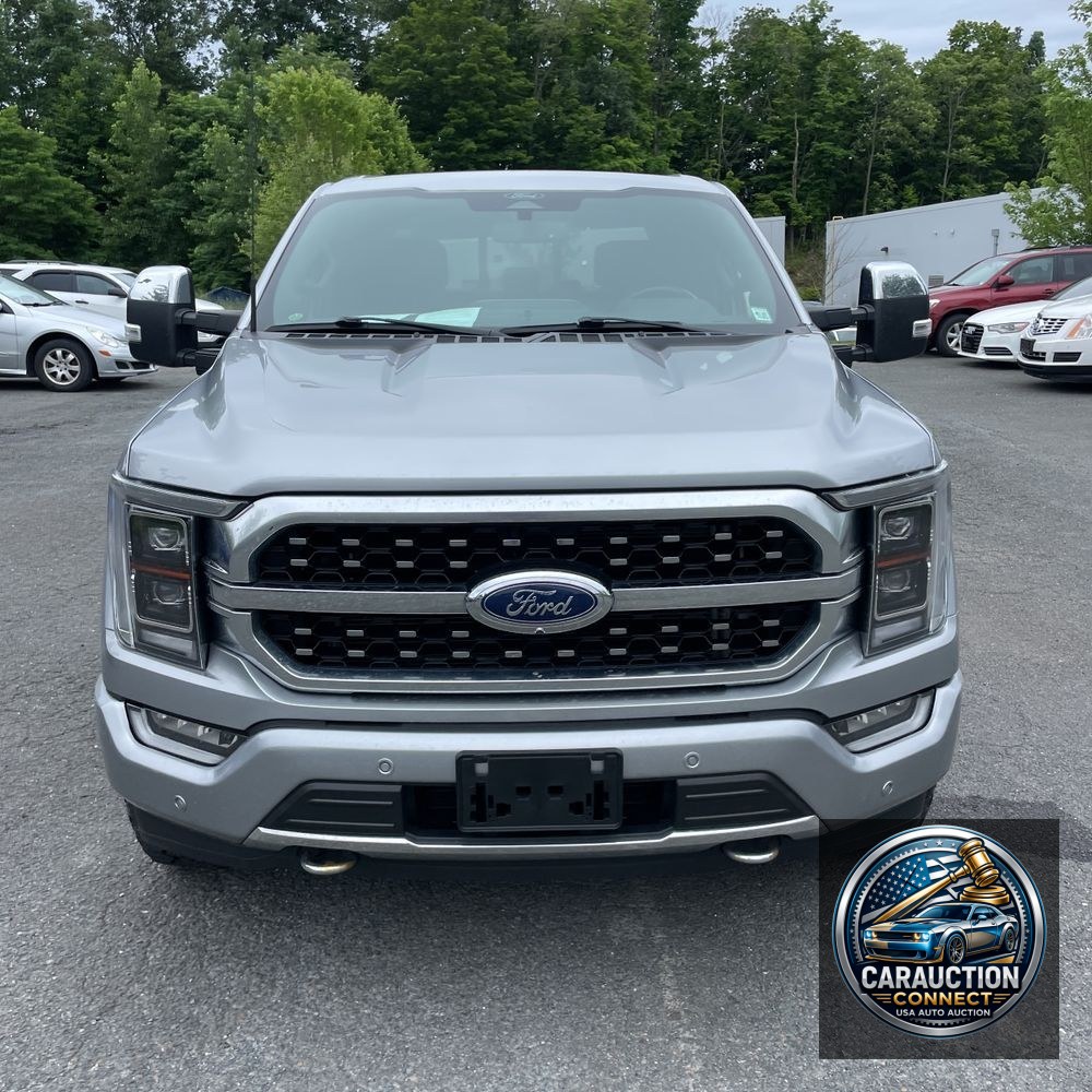 2022 Ford F-150 Platinum