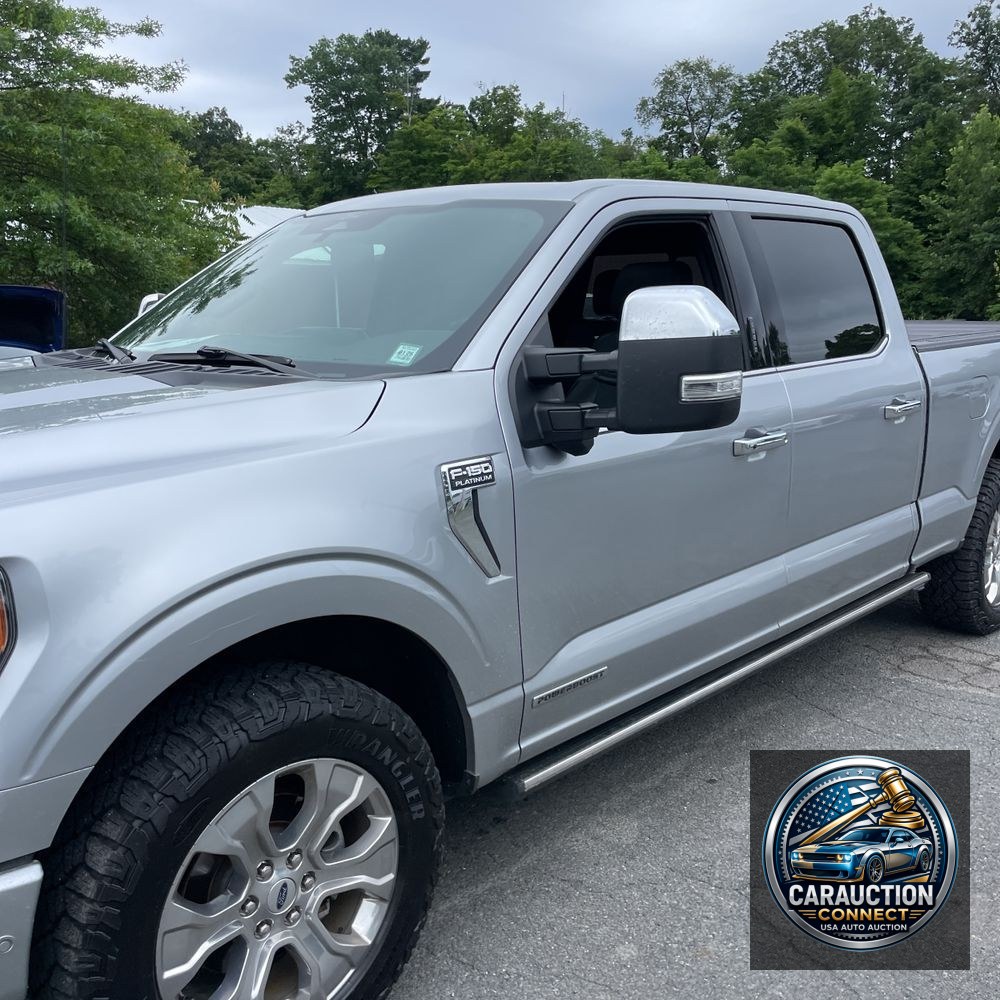 2022 Ford F-150 Platinum