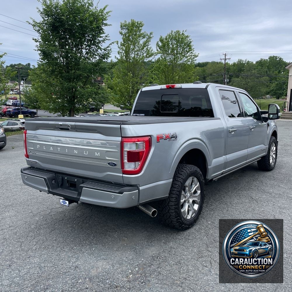2022 Ford F-150 Platinum