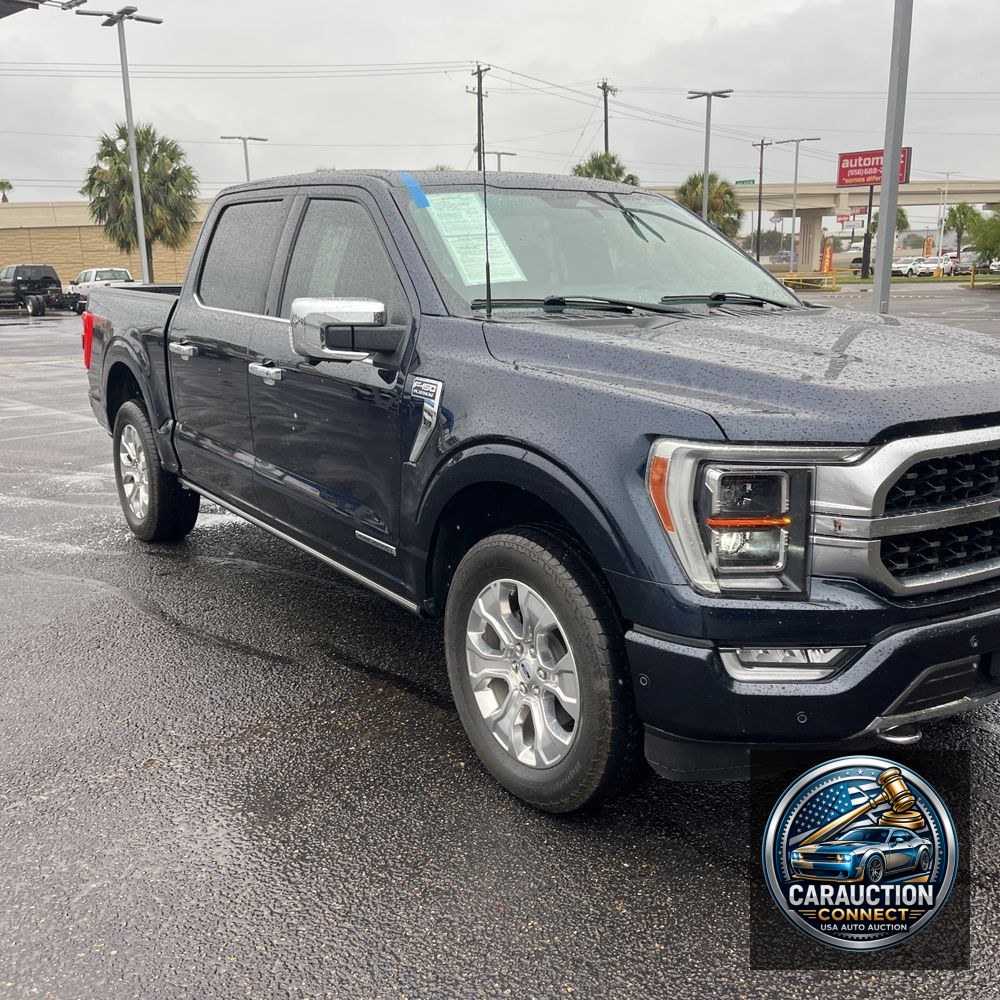 2023 Ford F-150 Platinum