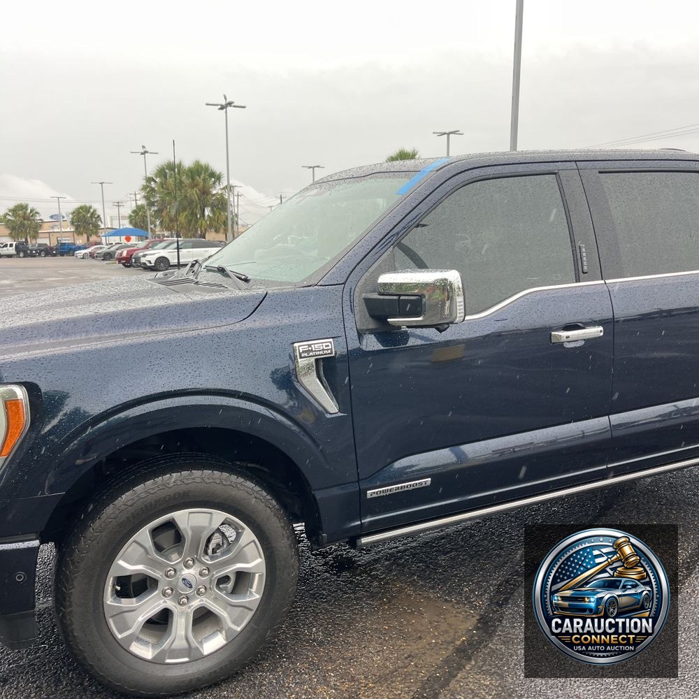 2023 Ford F-150 Platinum